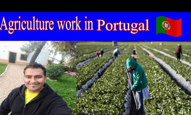 Farm Worker Jobs in Portugal